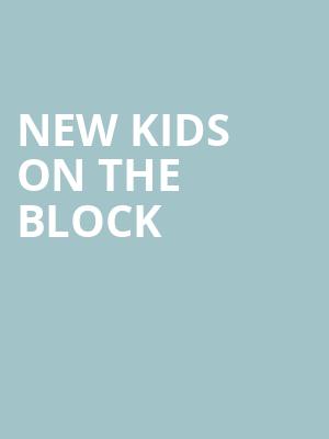 New Kids On The Block, Dailys Place Amphitheater, Jacksonville
