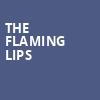 The Flaming Lips, Florida Theatre, Jacksonville