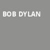 Bob Dylan, Moran Theater, Jacksonville
